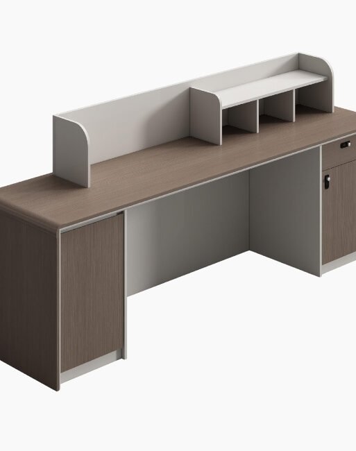 Modern Reception Desk with Raised Counter and Side Panels